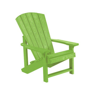 C08 Kids Adirondack