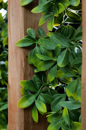 Privacy Trellis (Green Structure) 39" x 78"