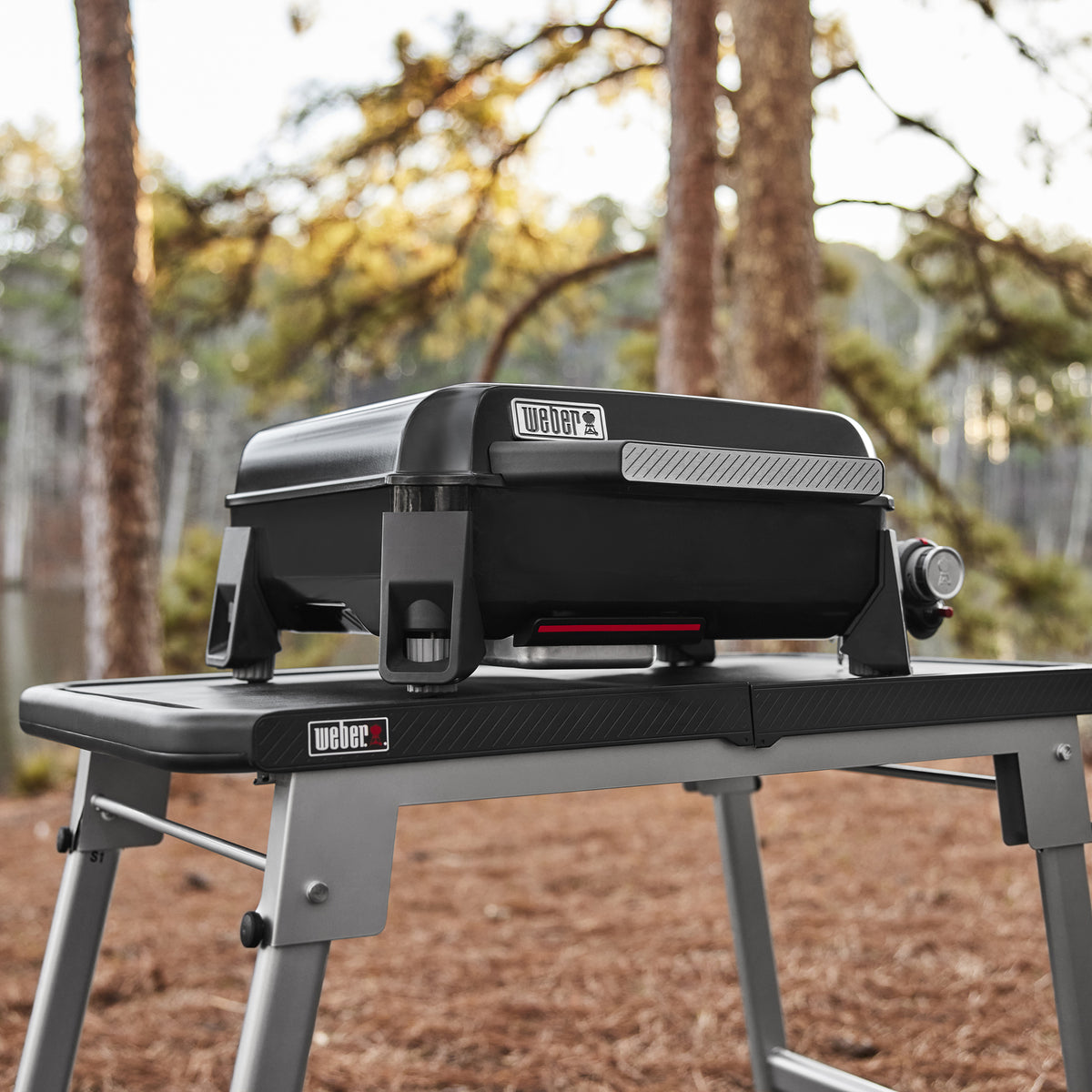Weber Slate 17" Rust-Resistant Portable Griddle - LP