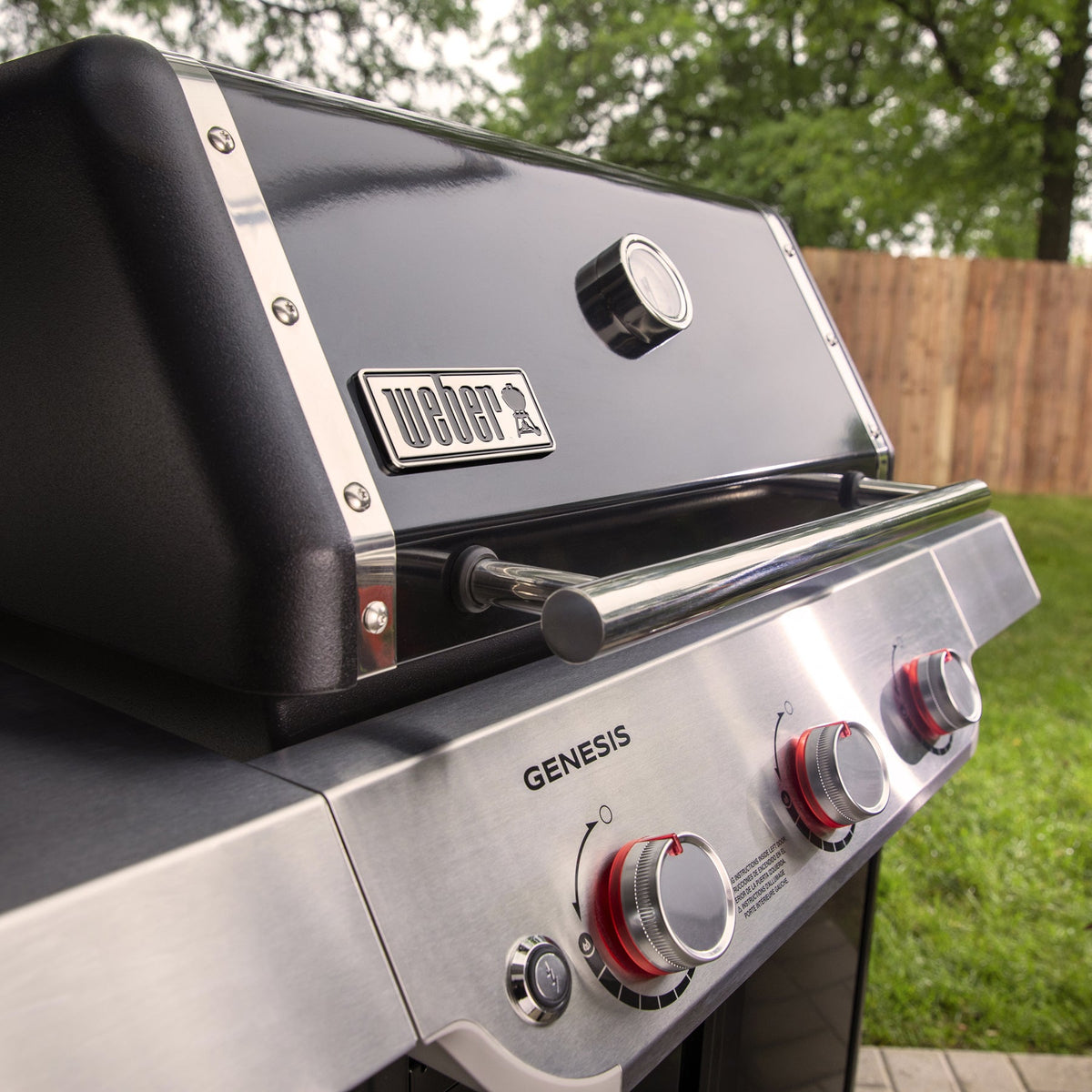 Genesis E-315 Gas Grill (Propane)