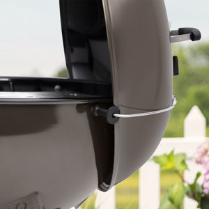 Cold Cleaning Brush - Weber