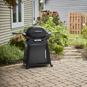 Weber Q 2800N+ With Stand Gas Grill LP