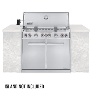 Weber Summit Grill Center Stainless Steel (Natural Gas)