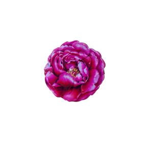Wall Art Flower