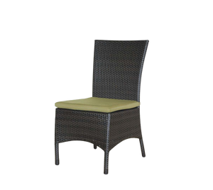 Palm Harbor Dining Side Chair