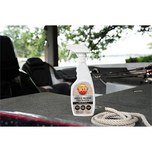 303 Mold and Mildew Stain Remover