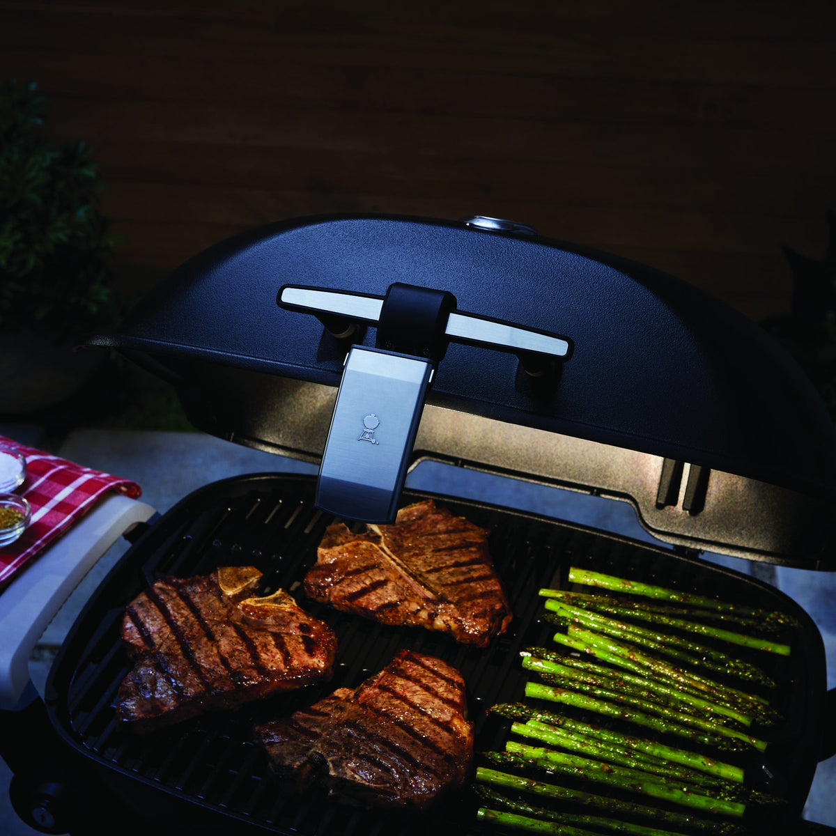 Lumin & Traveler Grill 'n Go Light