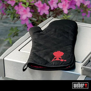 BBQ Mitt