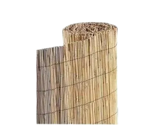 Reed Fence
