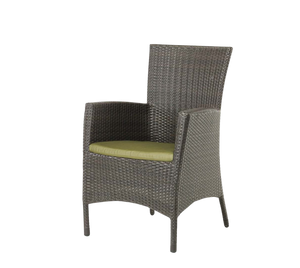 Palm Harbor Dining Arm Chair