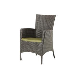 Palm Harbor Dining Arm Chair