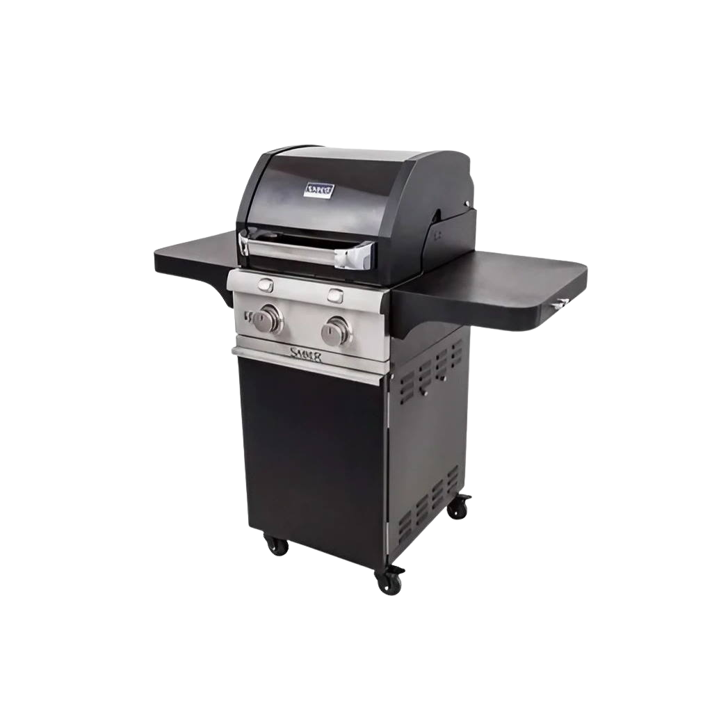 Deluxe Black 2-Burner Gas Grill