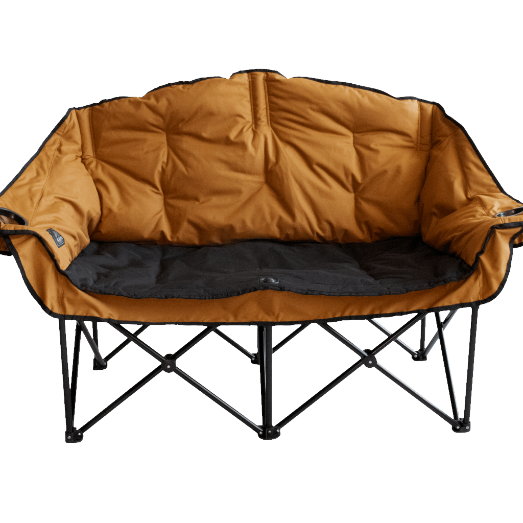 Bear Buddy/Double Chair