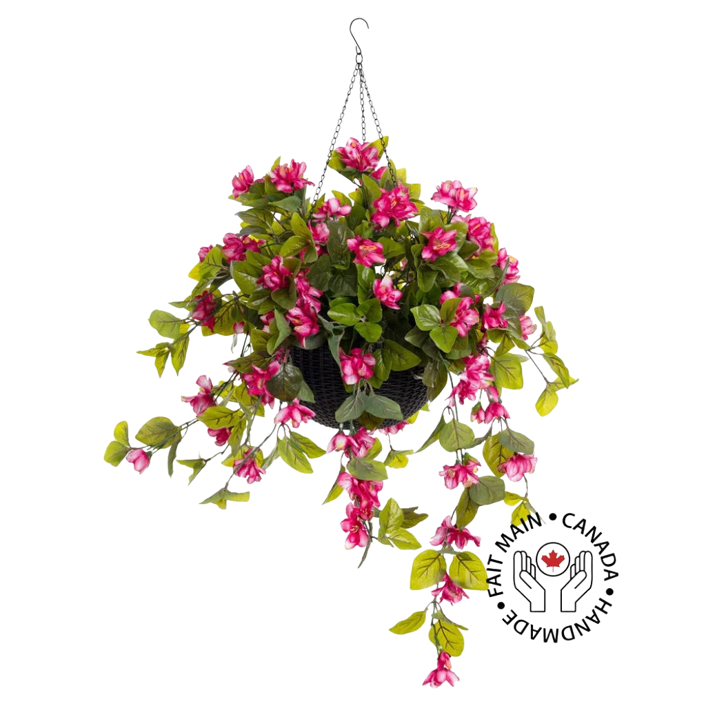 Outdoor Light Pink Azalea w/ Black Hanging Pot