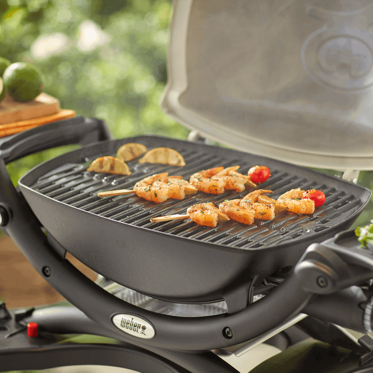 Weber Cooking Grates Q100/1000