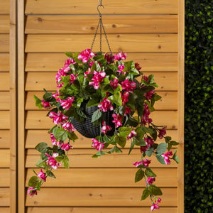 Outdoor Light Pink Azalea w/ Black Hanging Pot