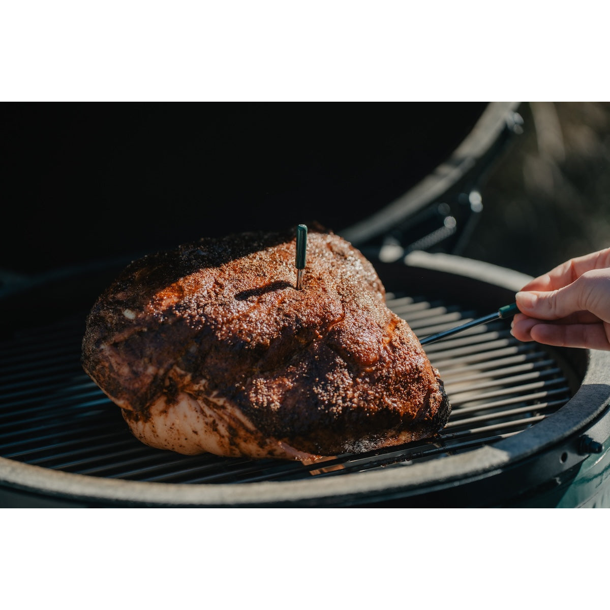 Chef's Professional Flavor Injector