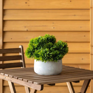 Outdoor Succulent Ball Centerpiece