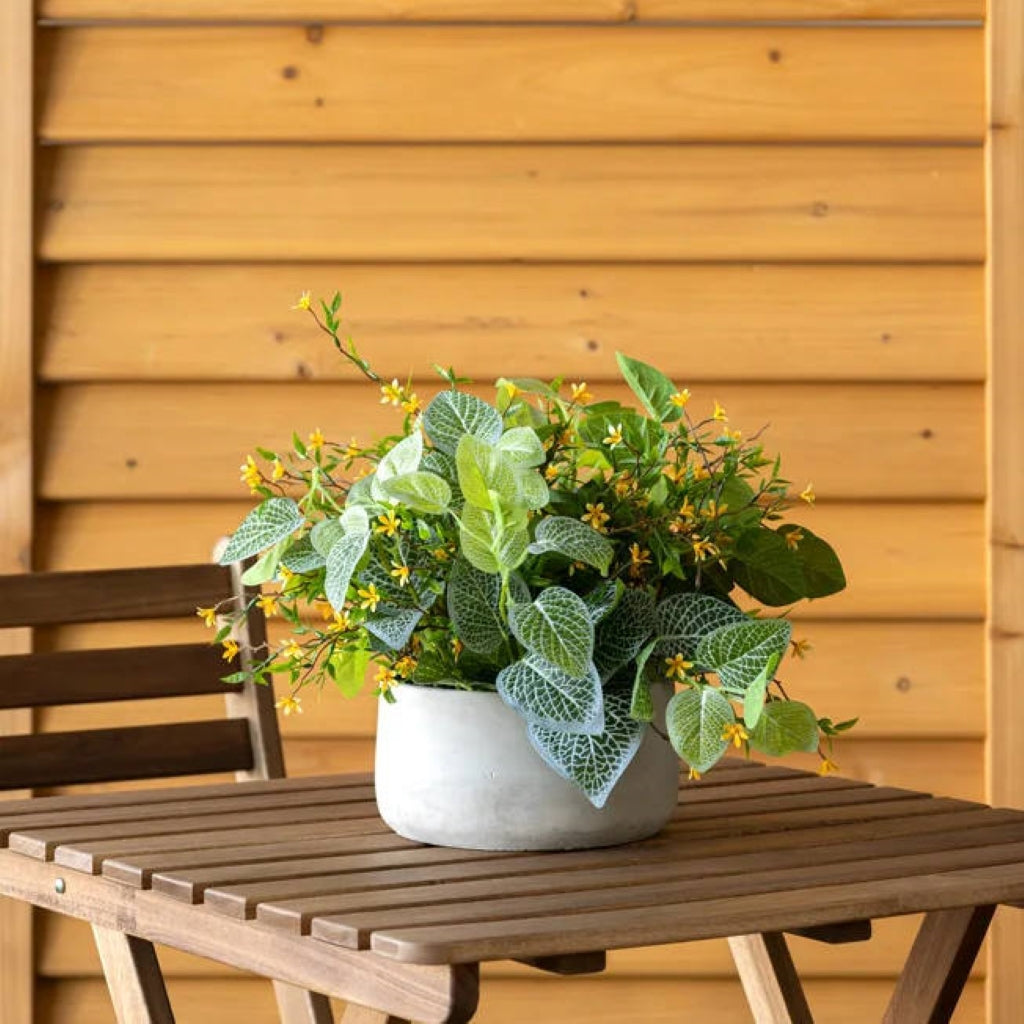 Outdoor Small Yellow Flower and Fittonia Centerpiece