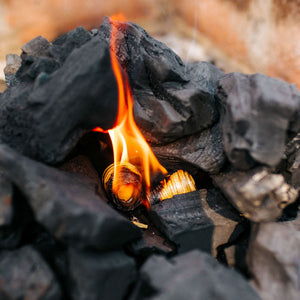 FOGO natural firestarter lighting charcoal