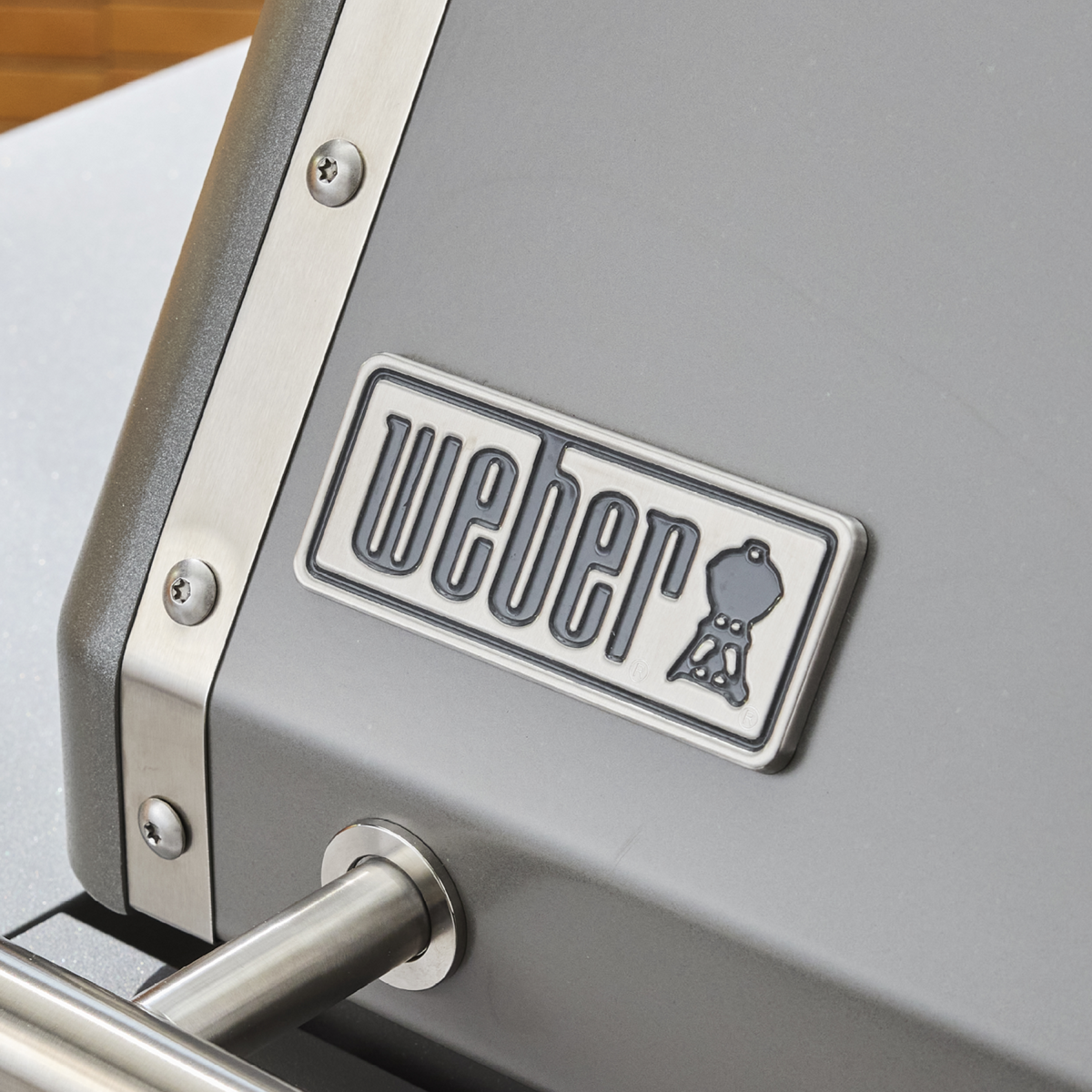Genesis E-325W Titanium (Propane)