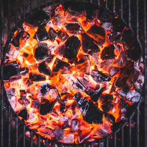 FOGO Premium Black Bag lump charcoal