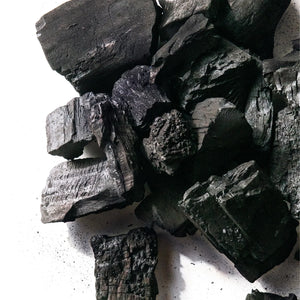 Kamado Joe Big Block Lump Charcoal pieces