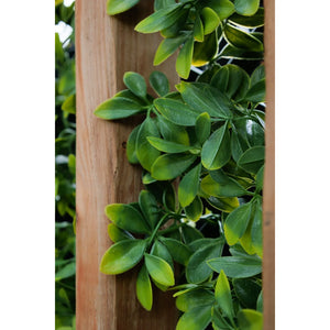 Privacy Trellis (Green Structure) 39" x 78"
