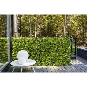 Privacy Trellis (Green Structure) 39" x 78"