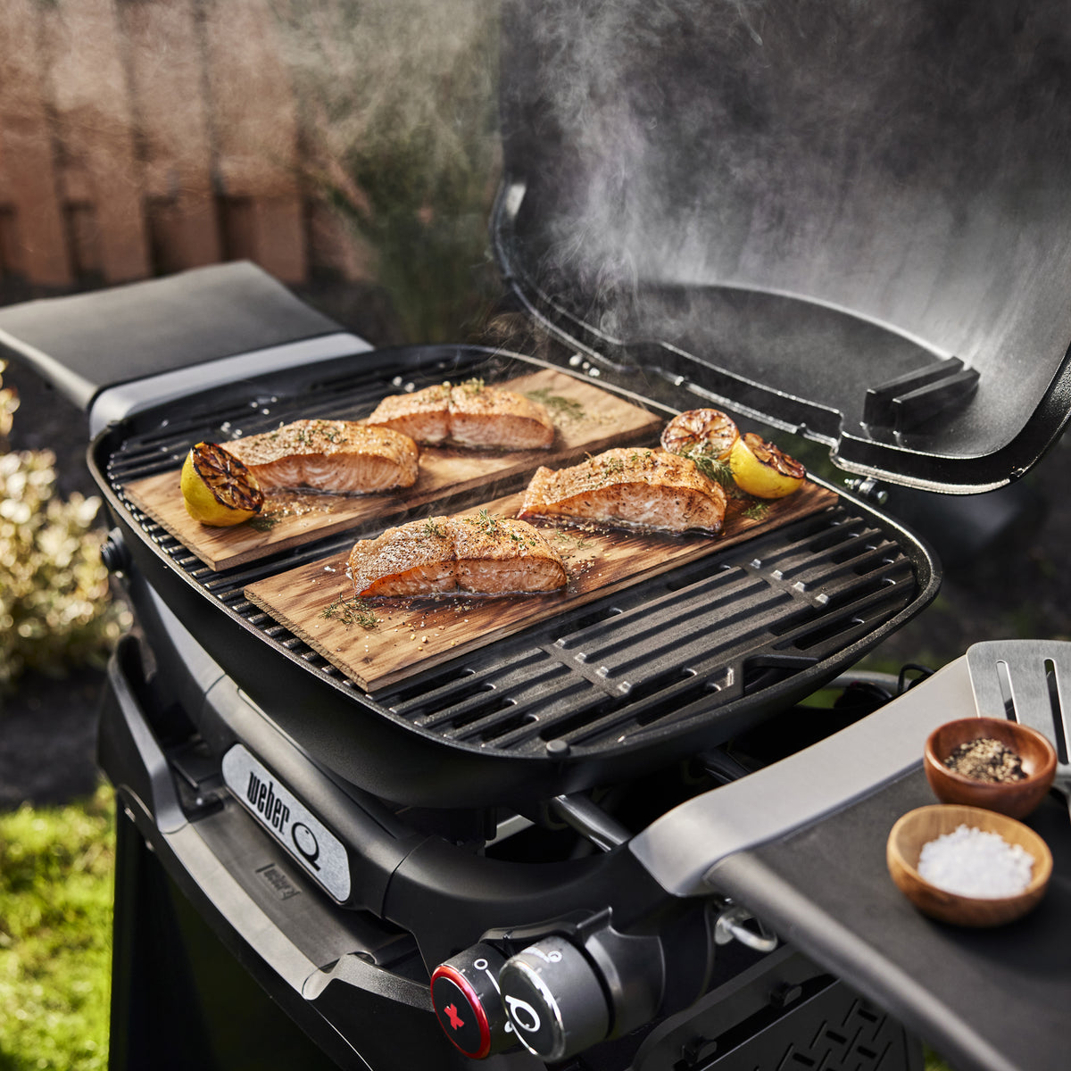 Weber Q 2800N+ With Stand Gas Grill LP