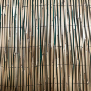 Reed Fence