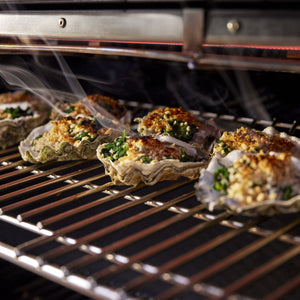Summit FS38 E Gas Grill (Propane)