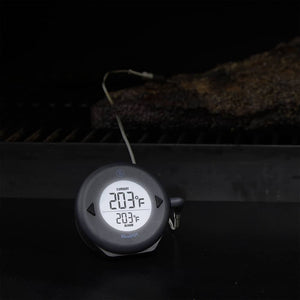 ThermoWorks BlueDOT alarm thermometer