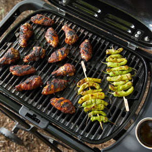 Weber Traveler Compact Gas Grill LP