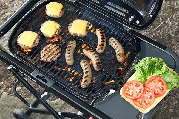 *New* Weber Traveller Portable Gas Grill