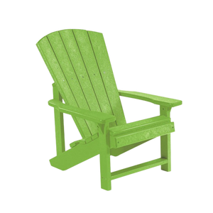 C08 Kids Adirondack