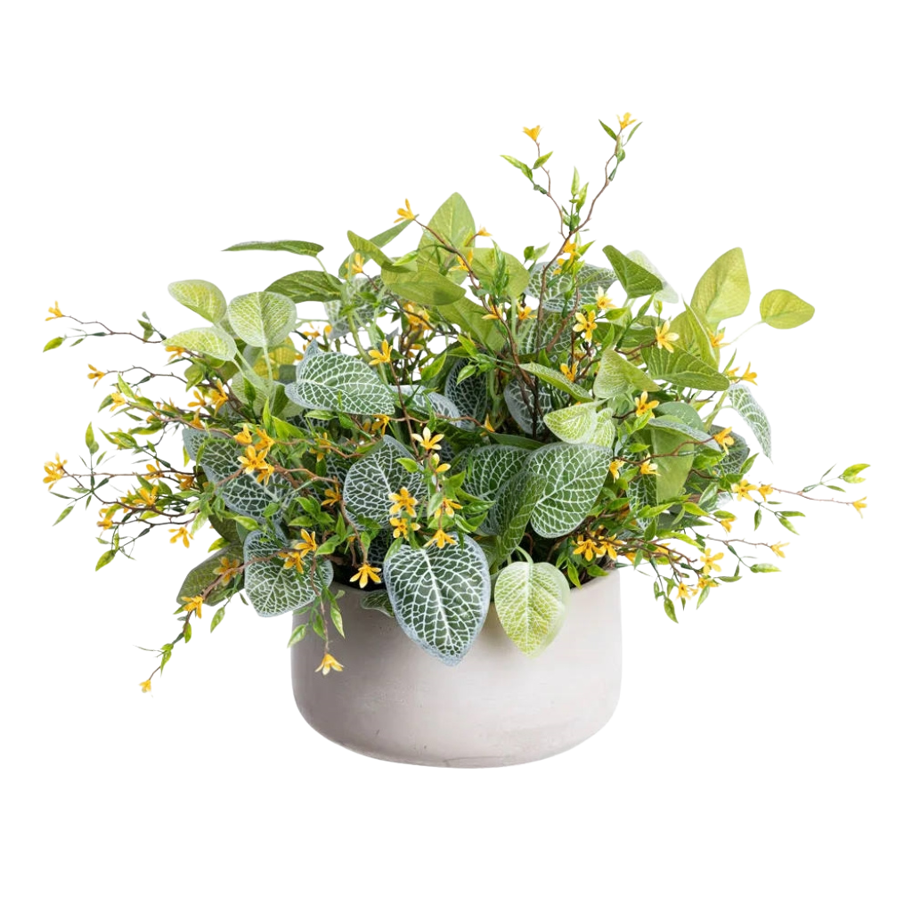 Outdoor Small Yellow Flower and Fittonia Centerpiece