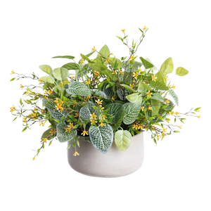 Outdoor Small Yellow Flower and Fittonia Centerpiece