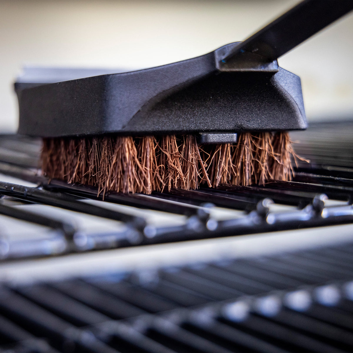 Louisiana Grills Palmyra Brush Replacement Head