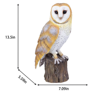 SOREAL Barn Owl on Branch