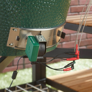 EGG Genius temperature controller with probes