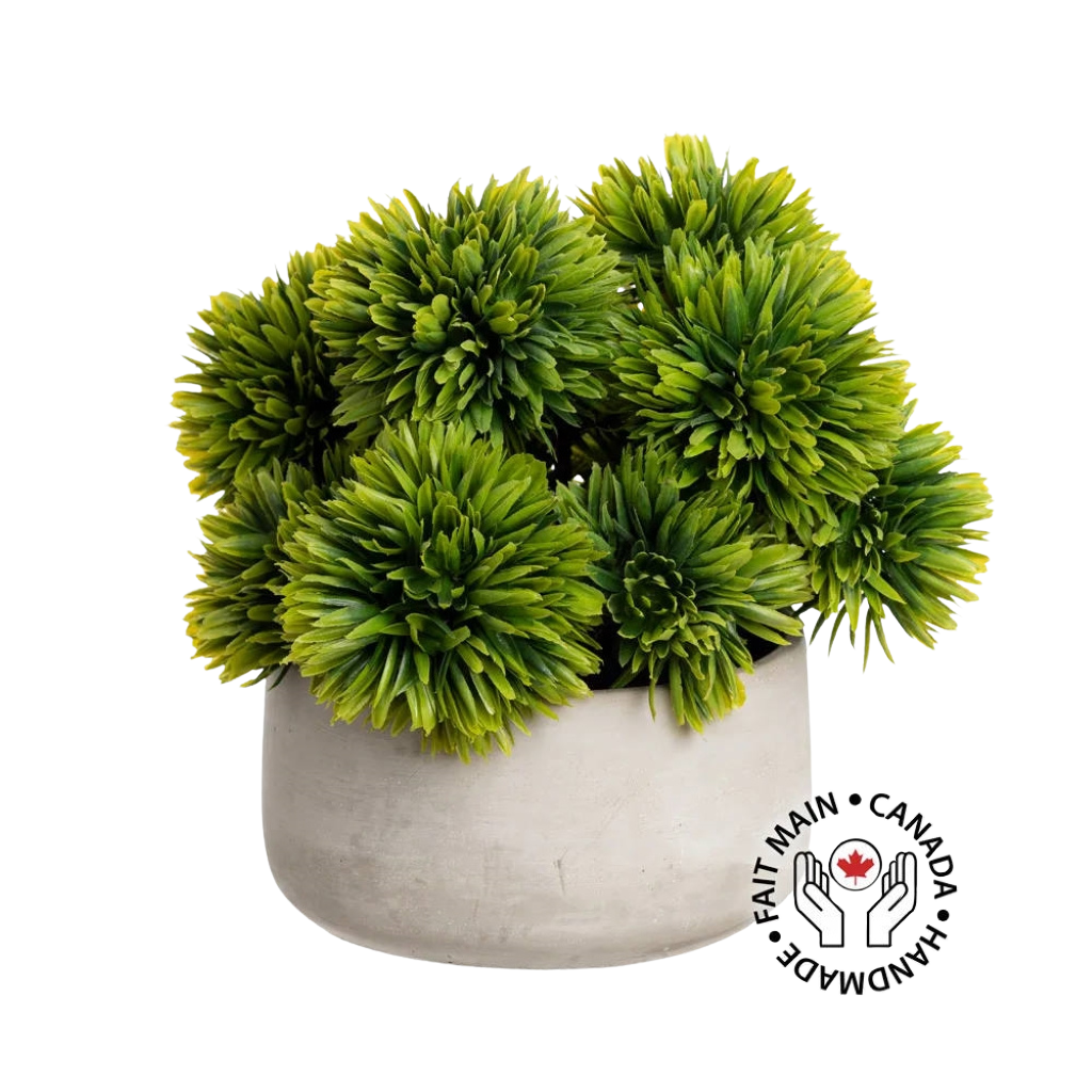 Outdoor Succulent Ball Centerpiece