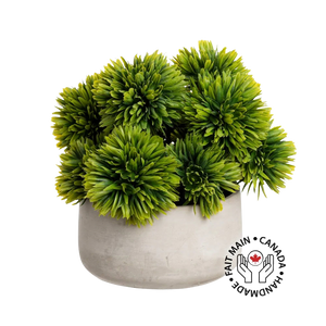 Outdoor Succulent Ball Centerpiece