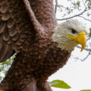Large Flying Eagle Statue