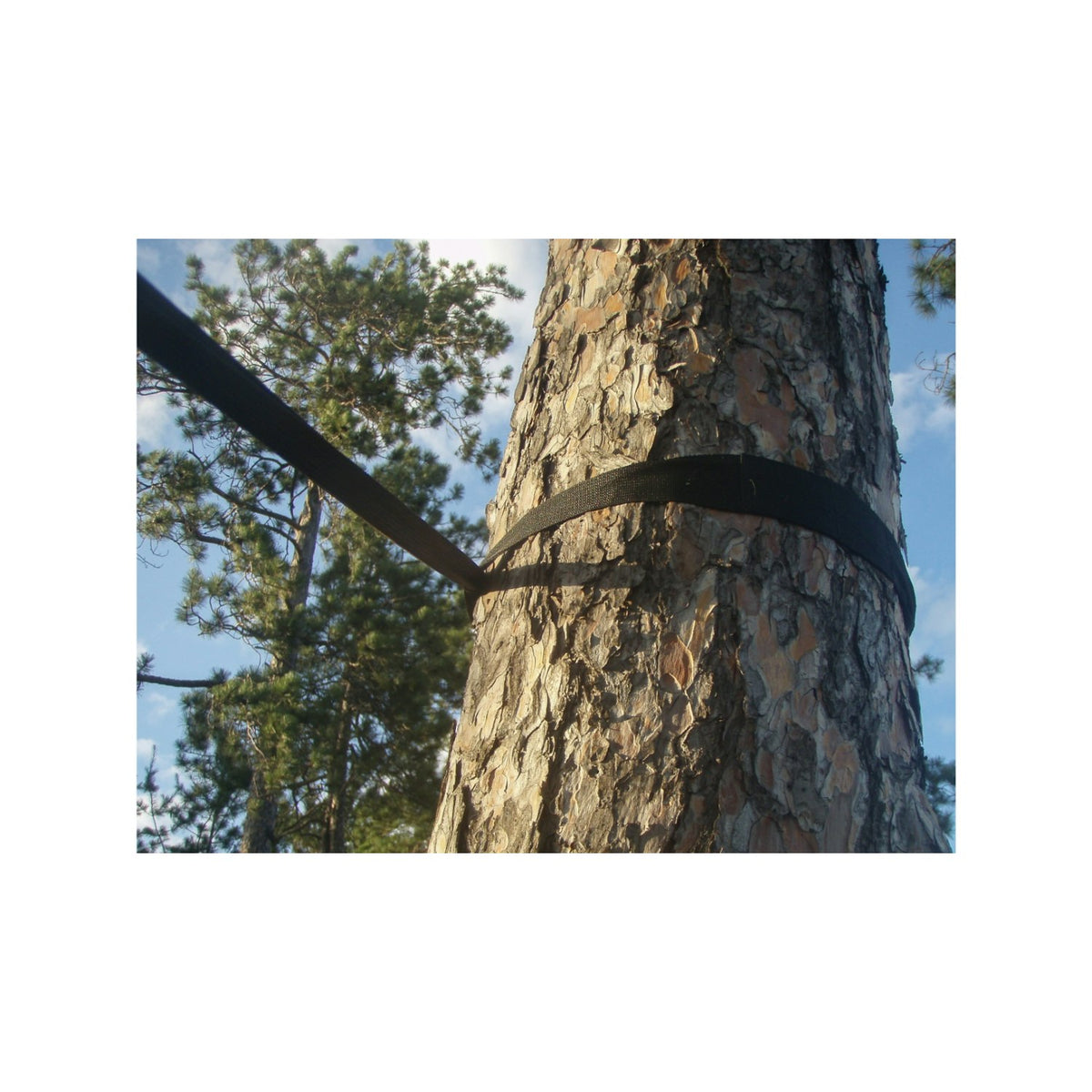 Eco-Friendly Hammock Tree Straps