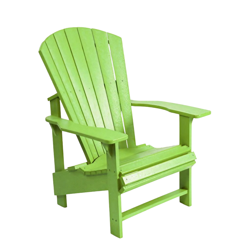 C01 Classic Adirondack