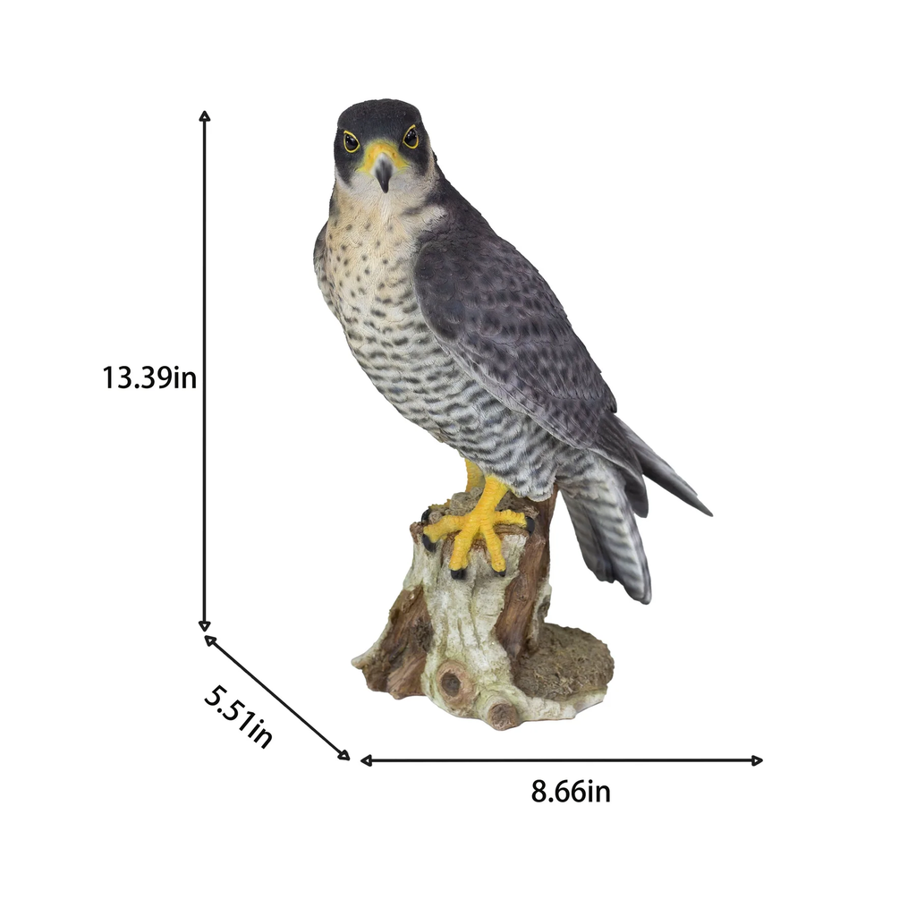 SOREAL Peregrine Falcon on Branch