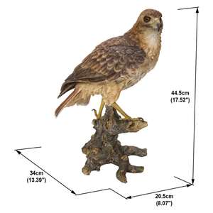 Wild Hawk Garden Statue