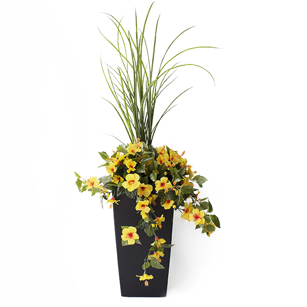 Yellow Hibiscus Flowers and a Dracaena. - Silk Plant