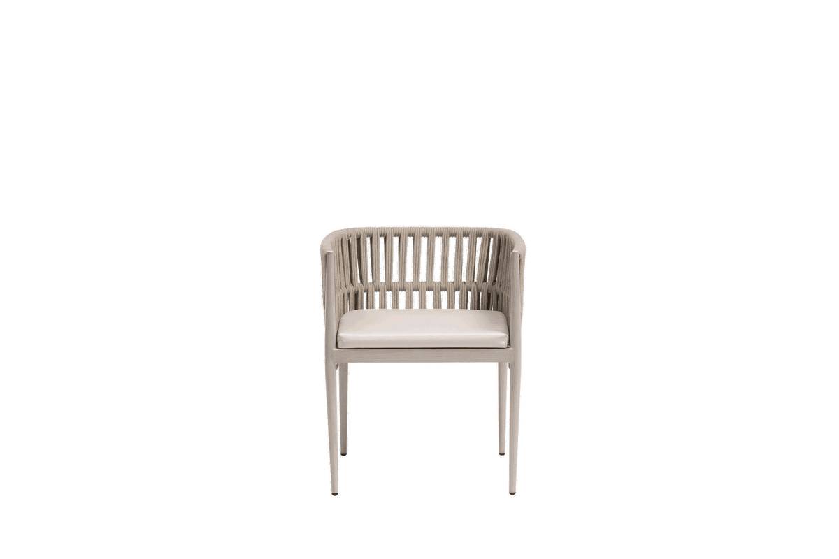 Lineas Dining Arm Chair